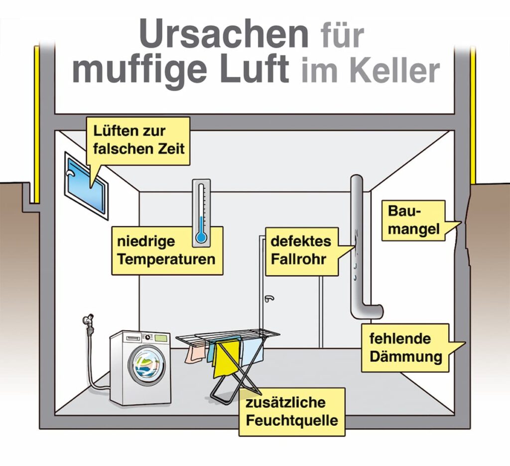 Infobild Ursachen für muffige Luft im Keller