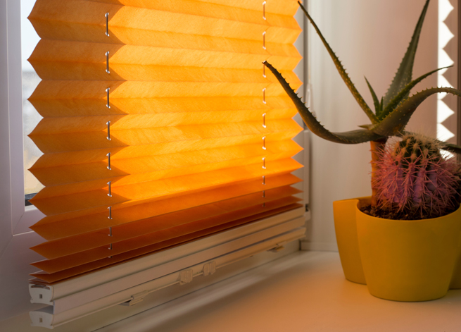 Orangenes Plissee mit Katus im Fensterbrett