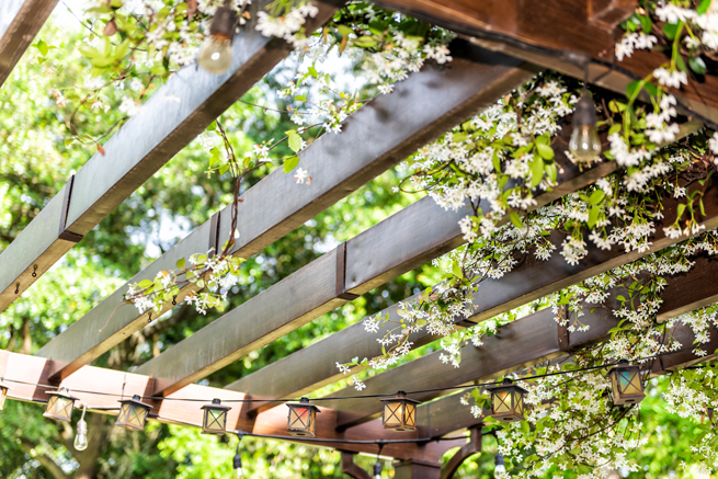 Pergola mit blühendem grünen Bewuchs im Sommer