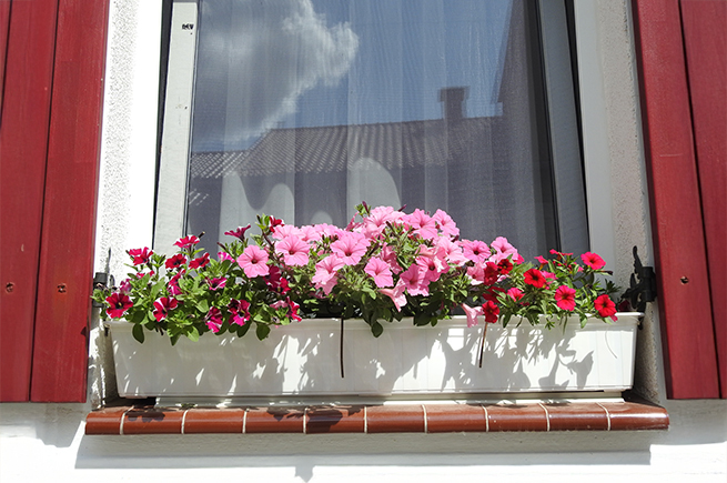Eine Außenfensterbank aus Stein mit weißem Blumenkorb und blühenden Blumen