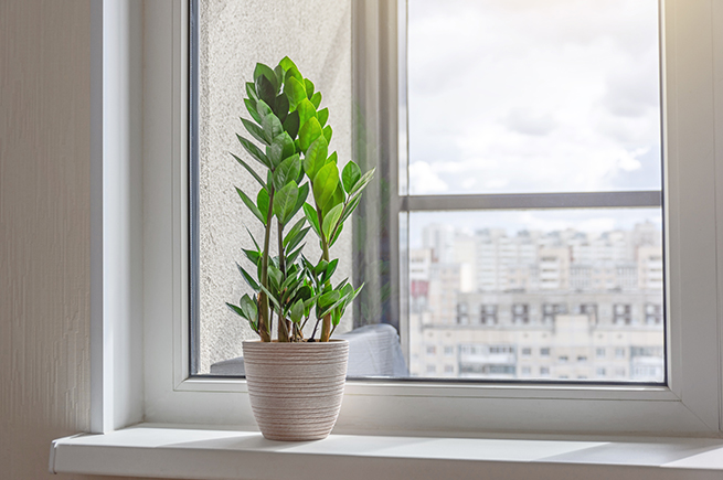 Eine helle Fensterbank vor einem weißen Fenster mit Ausblick auf eine Stadt