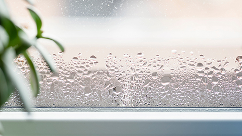 Vitre avec gouttes d'eau dues à la condensation intérieure
