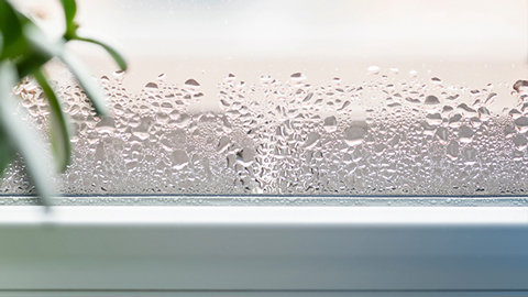 Kondenswasser am Fenster