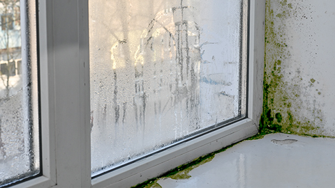 Schimmel in der Fensternische einer Wohnung