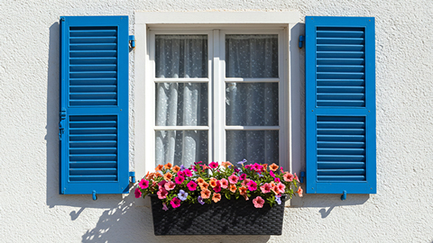 Holz Fensterladen in blauer Farbe mit Blumenkasten