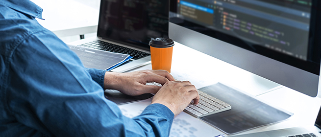 Job Search Full Stack Web Developer